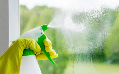 Why Have a Regular Window Cleaning Service?